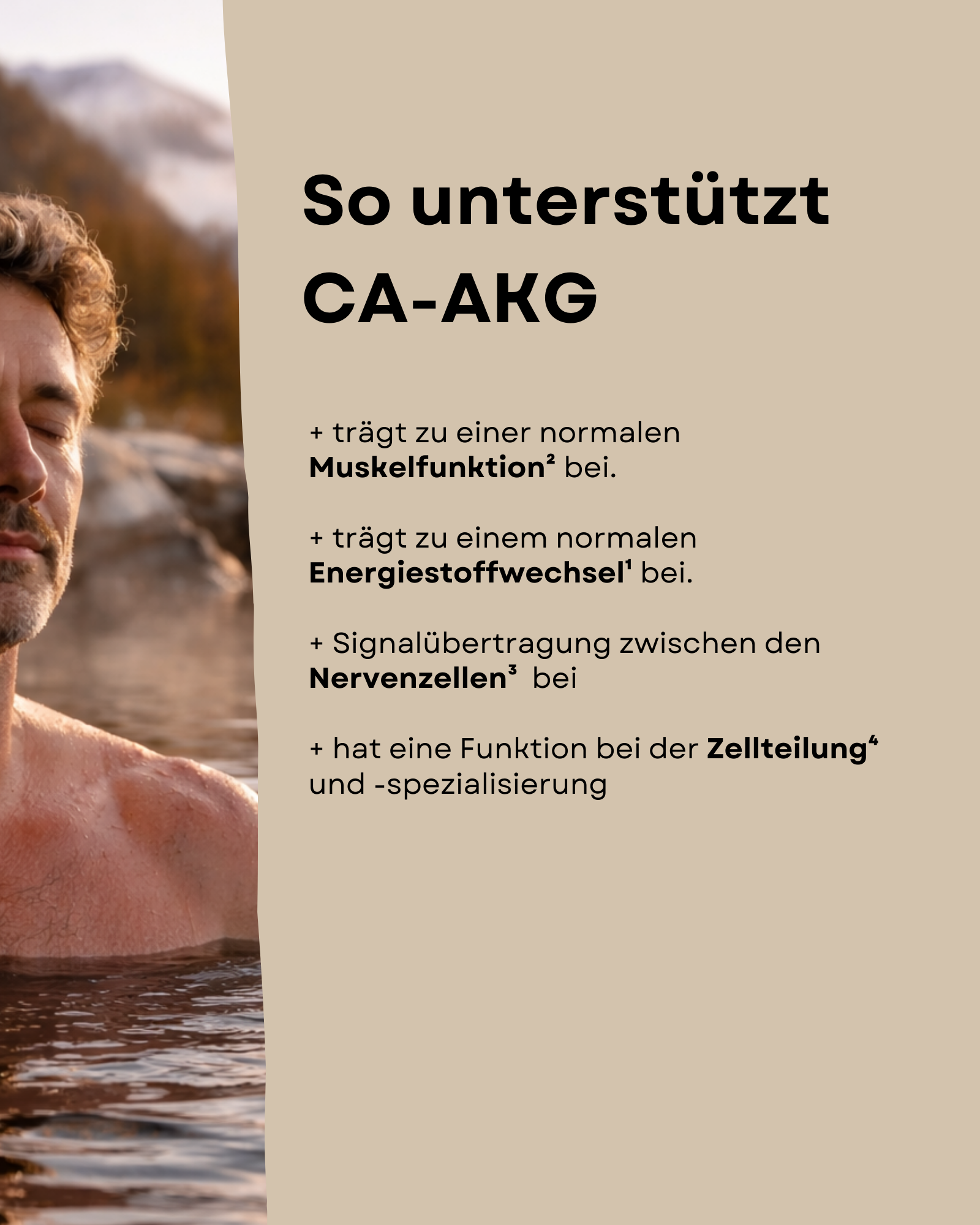 CA-AKG Kapseln – Calcium-Alpha-Ketoglutarat