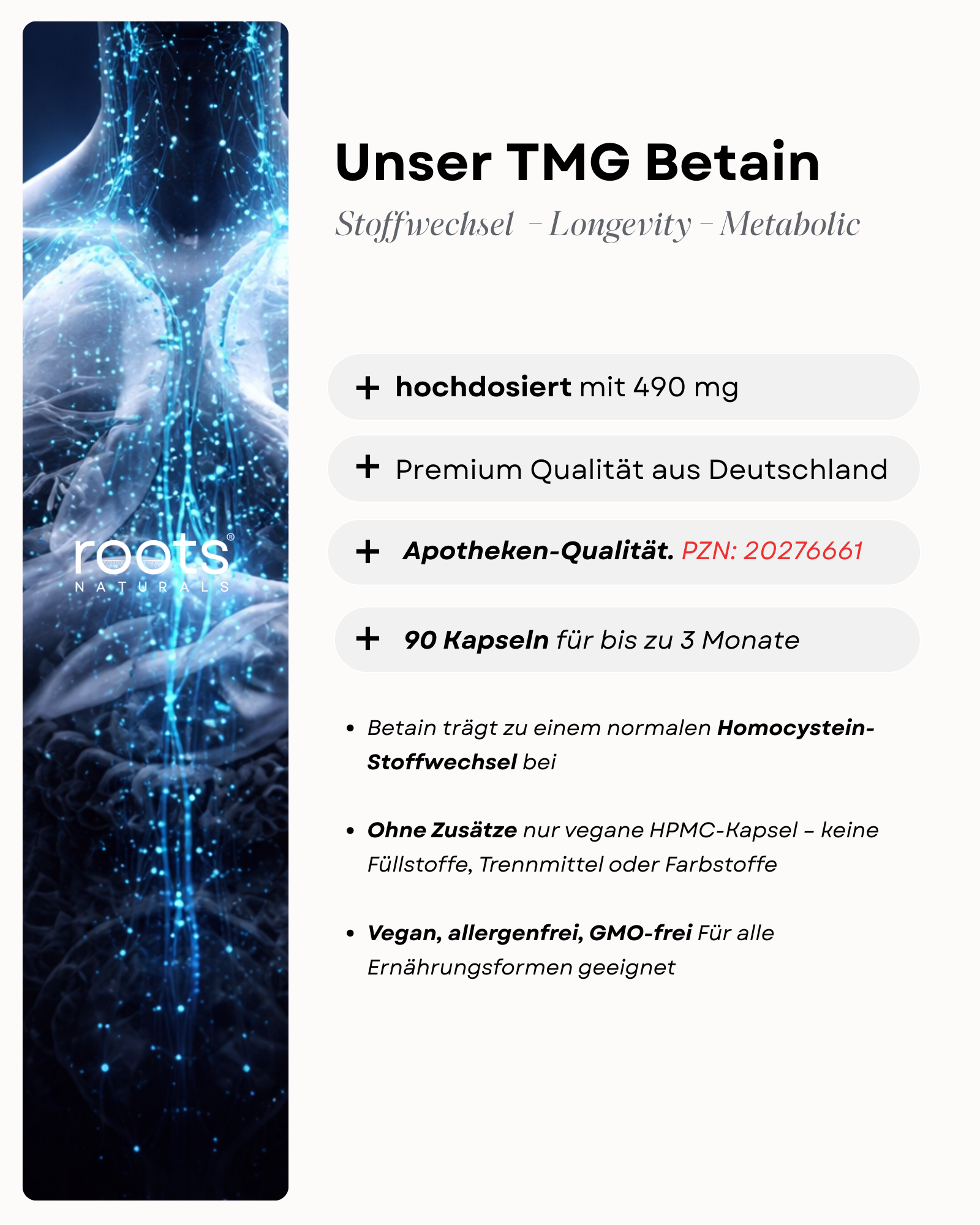 Betain TMG (Trimethylglycin) Kapseln