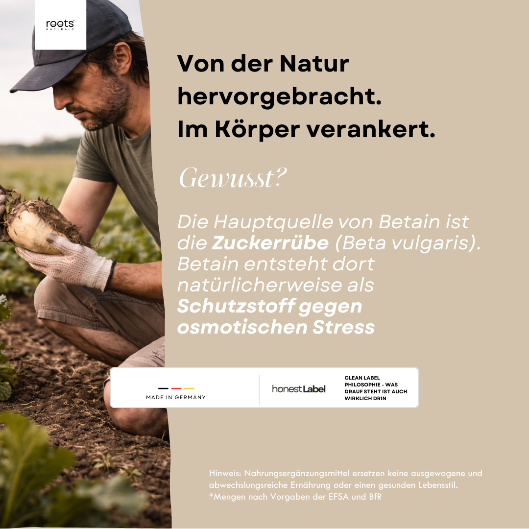 Betain TMG (Trimethylglycin) Kapseln